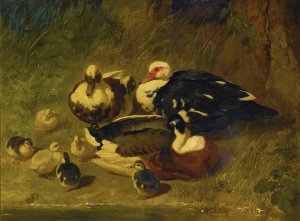 Muscovy Ducks And Ducklings by John Frederick Herring Snr. Oil Painting
