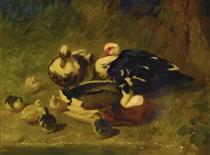 Muscovy Ducks And Ducklings by John Frederick Herring Snr. Oil Painting