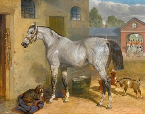 One Of The Scots Greys In A Yard With Dog And Goats by John Frederick Herring Snr. Oil Painting
