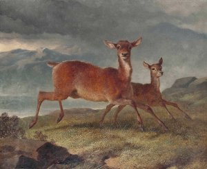 Red hind and calf by John Frederick Herring Snr. Oil Painting