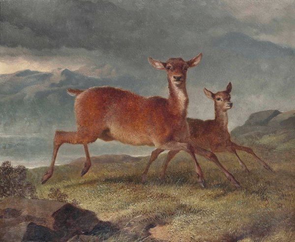 Red hind and calf  by John Frederick Herring Snr. - Hand-Painted Oil Painting Reproduction