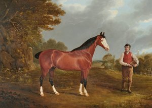 The Racehorse 'Whiteface' with Groom J. Gilham by John Frederick Herring Snr. Oil Painting