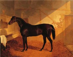 Mr. Johnstone's Charles XII in a Stable Oil painting by John Frederick Herring Sr