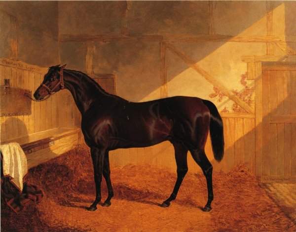 Mr. Johnstone's Charles XII in a Stable