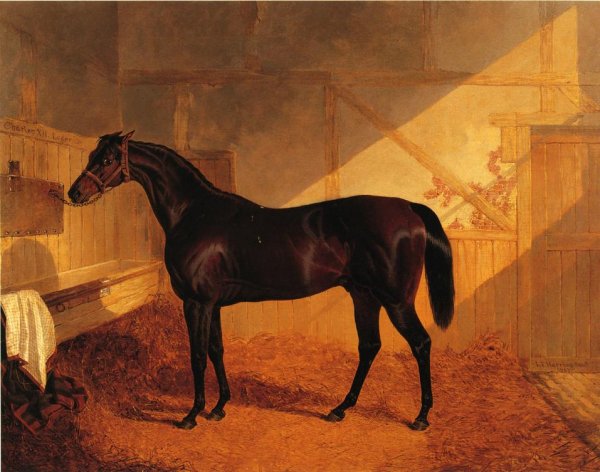 Main Product Photo of Mr. Johnstone's Charles XII in a Stable Painting by John Frederick Herring Sr