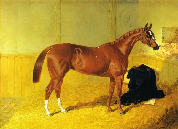 Main Product Photo of Our Nell, A Bay Racehorse in a Stable Painting by John Frederick Herring Sr