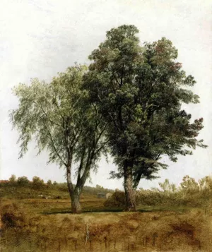 A Study of Trees painting by John Frederick Kensett