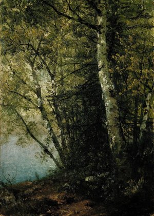 Study of Beeches by John Frederick Kensett Oil Painting