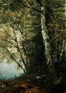 Study of Beeches