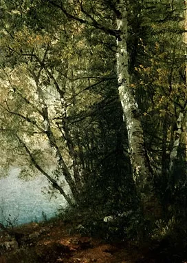 Study of Beeches by John Frederick Kensett Oil Painting