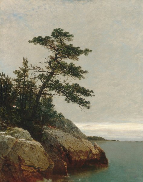 The Old Pine, Darien, Connecticut  by John Frederick Kensett - Hand-Painted Oil Painting Reproduction