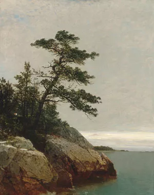 The Old Pine, Darien, Connecticut by John Frederick Kensett Oil Painting