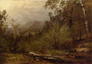 Trotter's Spring, Colorado by John Frederick Kensett - Oil Painting Reproduction