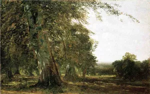 Windsow Woods by John Frederick Kensett Oil Painting