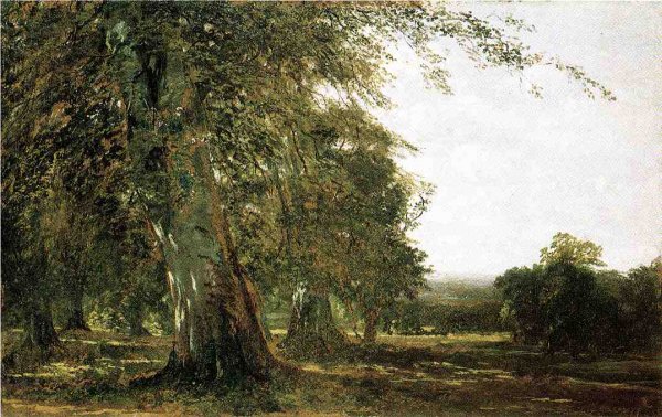 Windsow Woods by John Frederick Kensett - Hand-Painted Oil Painting Reproduction