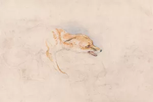 Study of a Crouching Fox, Facing Right by John Frederick Lewis Oil Painting