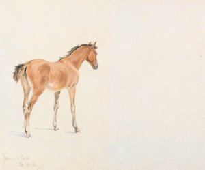Fannys Colt, July 26, 1886 by John Frederick Tayler Oil Painting