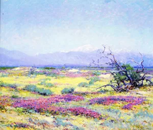 The Flowering Desert