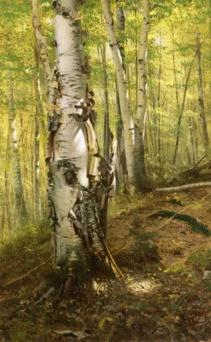 Silver Birches painting by John George Brown