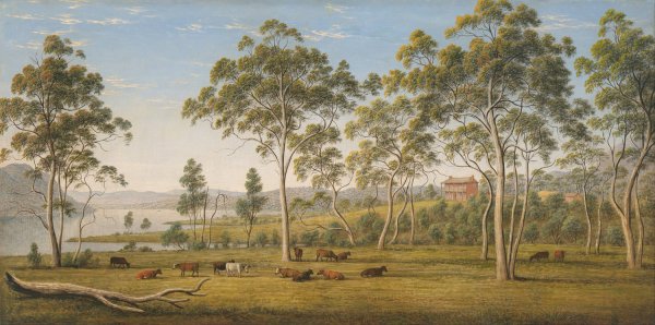 Main Product Photo of Mr Robinson's House on the Derwent, Van Diemen's Land Painting by John Glover