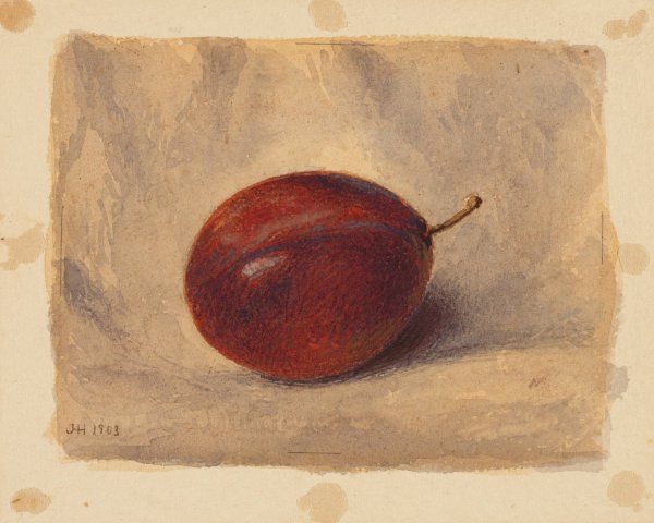 Plum  by John Henry Hill - Hand-Painted Oil Painting Reproduction
