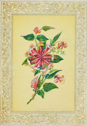 Honeysuckle by John Henry Ingram Oil Painting