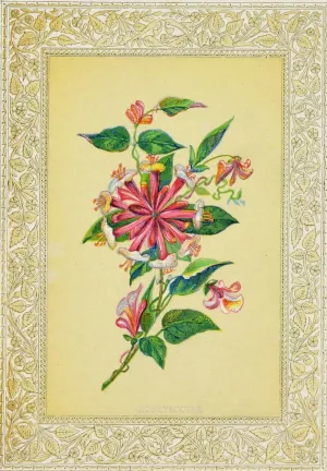 Honeysuckle by John Henry Ingram Oil Painting