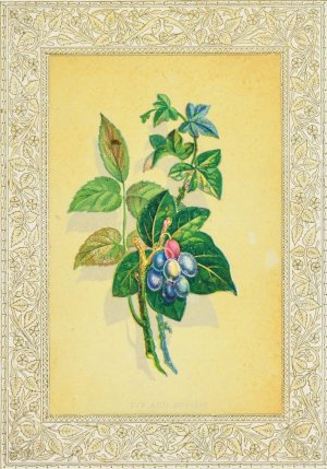 Ivy and Berries by John Henry Ingram Oil Painting