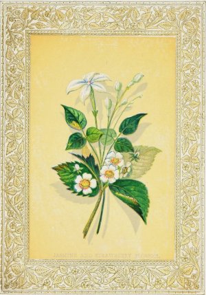 Jasmine and Strawberry Blossom by John Henry Ingram Oil Painting