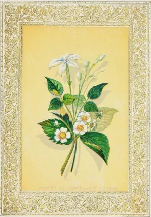Jasmine and Strawberry Blossom by John Henry Ingram Oil Painting