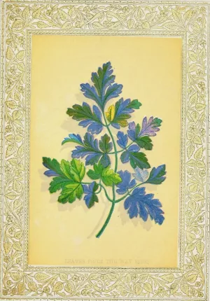 Leaves from the way side by John Henry Ingram Oil Painting