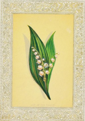 Lily of the valley by John Henry Ingram Oil Painting