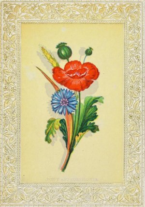 Poppy and Cornflower by John Henry Ingram Oil Painting