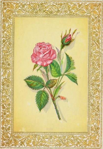 Main Product Photo of Rose  Painting by John Henry Ingram