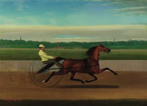 Henry, Boston, June 23rd by John J. Mcauliffe Oil Painting