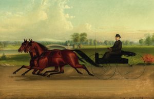 Mr. Kip Driving a Pair of Trotters by John J. Mcauliffe Oil Painting