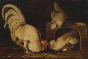 Farmyard Fowls by John James Audubon Oil Painting