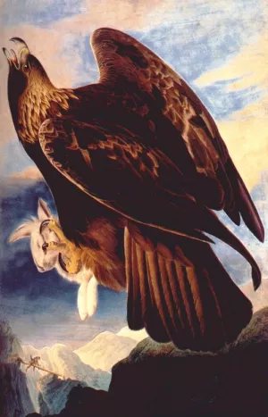 Golden Eagle by John James Audubon Oil Painting