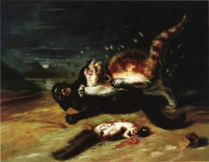 Two Cats Fighting