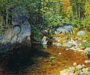 Woodland Pool, Newry, Maine