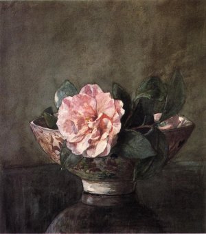 Camellia in Old Chinese Vase on Black Lacquer Table