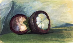 Fruit of the Mangosteen, Java by John La Farge Oil Painting