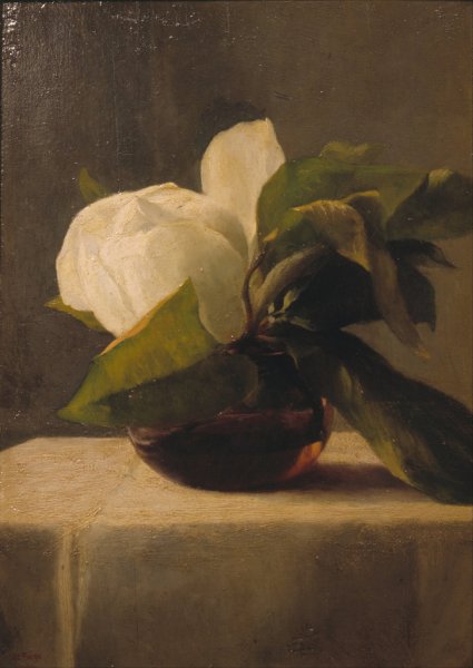 Main Product Photo of Magnolia  Painting by John La Farge