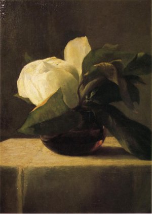 Magnolia by John La Farge Oil Painting