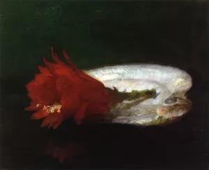 Shell and Flower by John La Farge Oil Painting