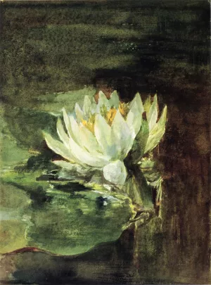 Single Water-Lily in Sunlight by John La Farge Oil Painting