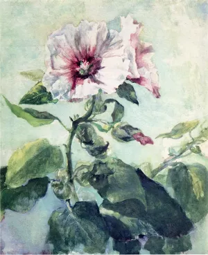 Study of Pink Hollyhock in Sunlight, From Nature by John La Farge - Oil Painting Reproduction