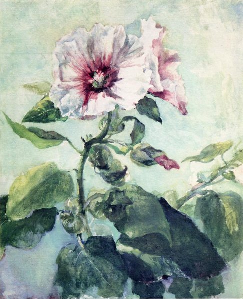 Study of Pink Hollyhock in Sunlight, From Nature by John La Farge - Hand-Painted Oil Painting Reproduction