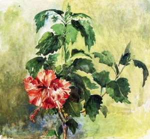 The Hibiscus, Tahiti, Society Islands, 1891