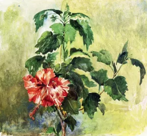 The Hibiscus, Tahiti, Society Islands, 1891 by John La Farge - Oil Painting Reproduction